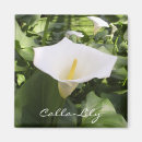 Search for calla magnets Flower