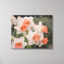 Search for daffodil canvas prints Garden