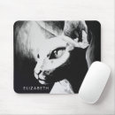 Search for hairless mouse mats Cat
