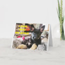 Search for german shephard cards Dog