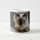 Search for ragdoll cat mugs Cute