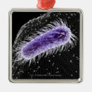 Search for bacteria christmas tree decorations Bacterium