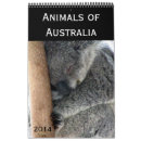 Search for koala calendars Wildlife