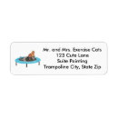 Search for exercising labels Cat