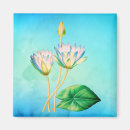 Search for redoute magnets Illustration
