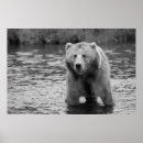 Search for woodland bear posters Modern