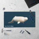 Search for artic electronics Animals