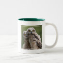 Search for great horned owl mugs Nature