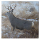 Search for mule tiles Deer