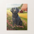 Search for black lab puzzles Black labrador retriever