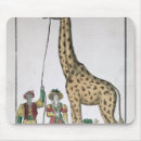 Search for presented mouse mats Animal