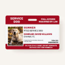 Search for service dog Emotional support animal