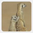 Search for cooperation stickers Togetherness