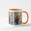Search for conures mugs Pet