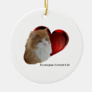 Search for long haired cat christmas tree decorations Maine coon