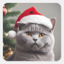 Search for cat in santa hat stickers Funny