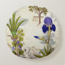Search for iris cushions Plant