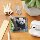 Search for wildlife panda key rings China