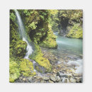 Search for lush green magnets Scenic