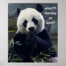 Search for already art Funny