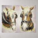 Search for draught horses posters Animal