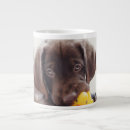 Search for duck dog mugs Labrador retriever