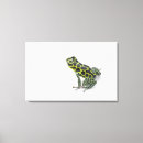 Search for poison canvas prints Looking at camera