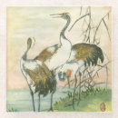 Search for oriental coasters Bird
