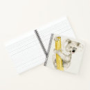 Search for koala notebooks Australia