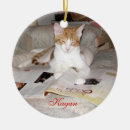 Search for foster care christmas tree decorations Adopted