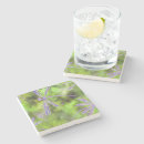Search for dragonfly coasters Green
