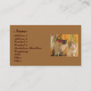 Search for siamese photography Animal