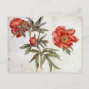 Search for martin postcards Renaissance