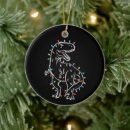 Search for dinosaurs christmas tree decorations Dinosaur lover