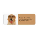 Search for veterinarian return address labels Dogs