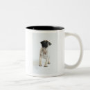 Search for cute baby animals mugs Humour