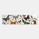 Search for illustrate bumper stickers Butterfly
