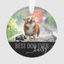 Search for new puppy christmas tree decorations Black and white