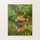 Search for red fox puzzles Baby