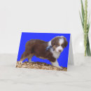 Search for aussie seasonal cards Shepherd