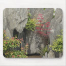 Search for bonsai electronics Garden