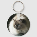 Search for himalayan key rings Feline