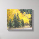 Search for aspen tree canvas prints Landscape