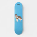 Search for huskies skateboards Dog