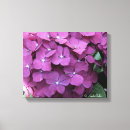 Search for hydrangea canvas prints Pink
