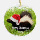 Search for skunk christmas tree decorations Wildlife