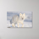 Search for coastal plain art Environment