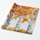 Search for birch wrapping paper Birthday
