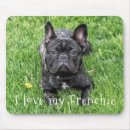 Search for frenchie mouse mats Animal