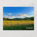 Search for amber postcards Scenic